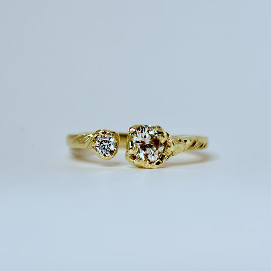 Shore Ring